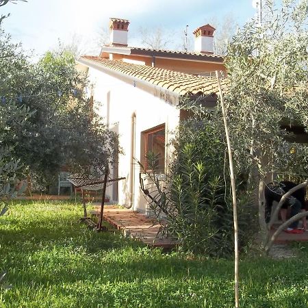 Villa Ambrosia Муджа Екстер'єр фото