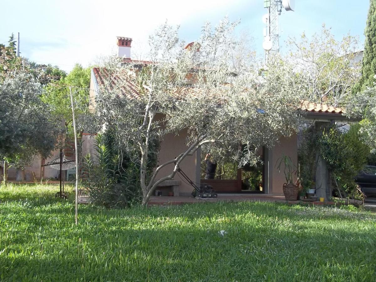 Villa Ambrosia Муджа Екстер'єр фото