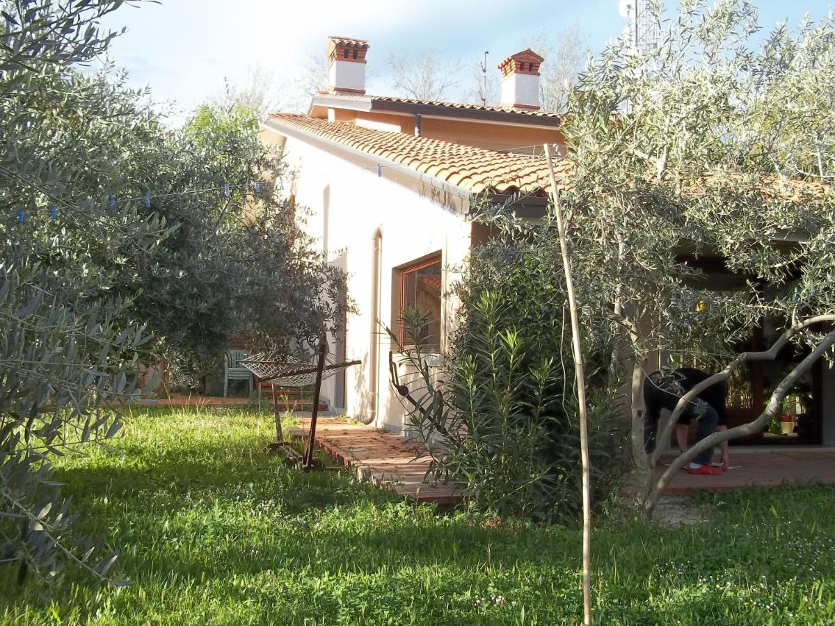 Villa Ambrosia Муджа Екстер'єр фото