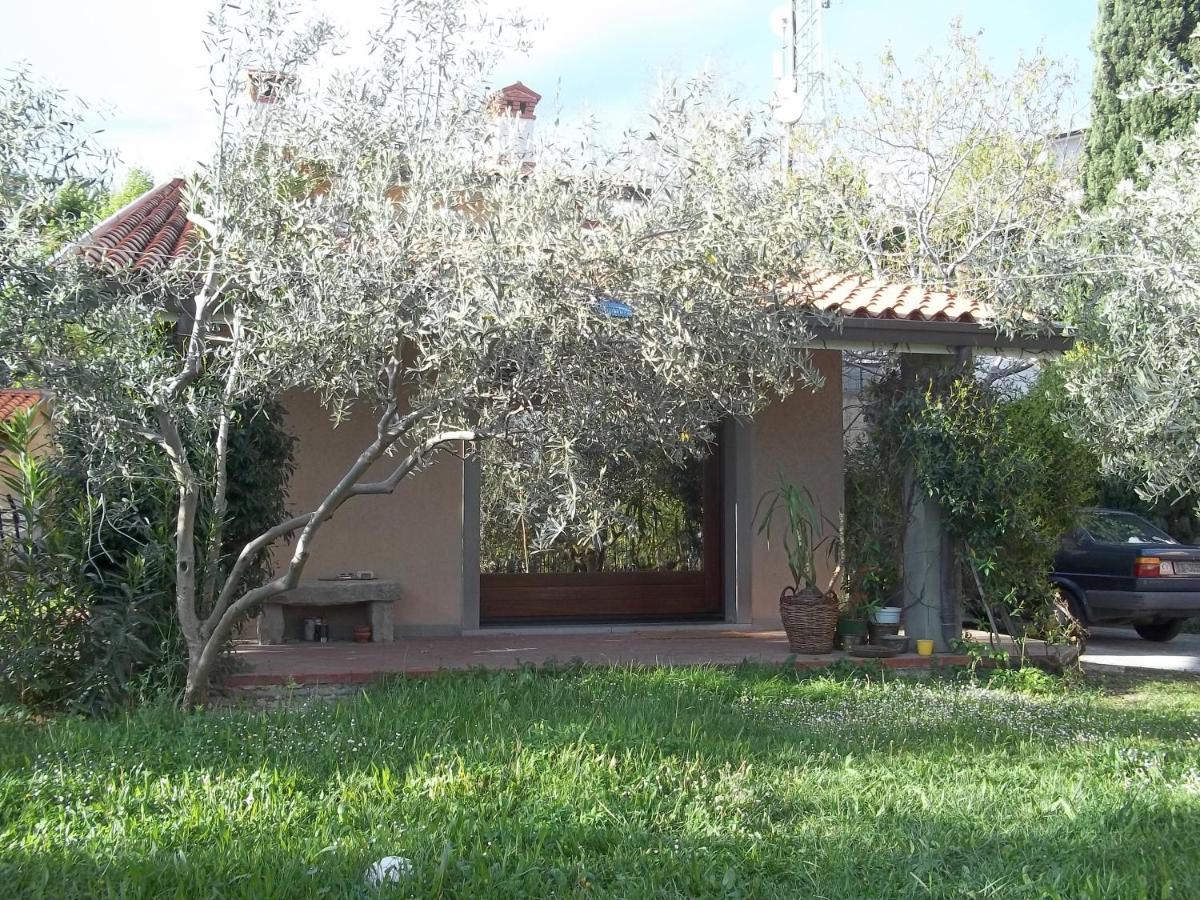 Villa Ambrosia Муджа Екстер'єр фото