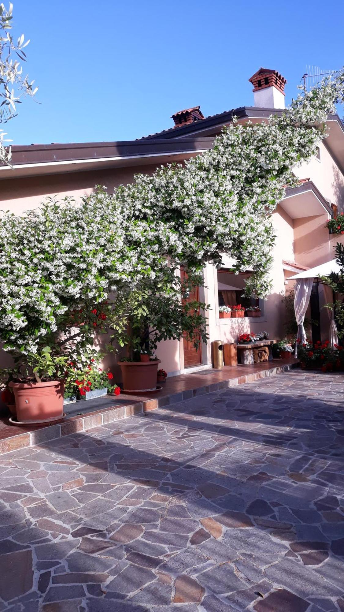 Villa Ambrosia Муджа Екстер'єр фото